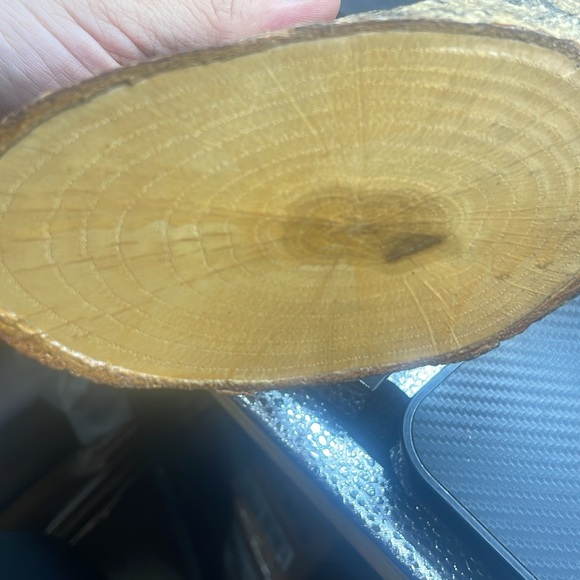 Hand Carved Hand Painted Fine Collection Wood Decoy Shore Bird Vintage - Picture 7 of 9